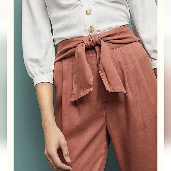 Anthropologie-Cartonniere NWT Belt Front Pants Rose 100% Lyocell-Size 14 - Picture 3 of 16